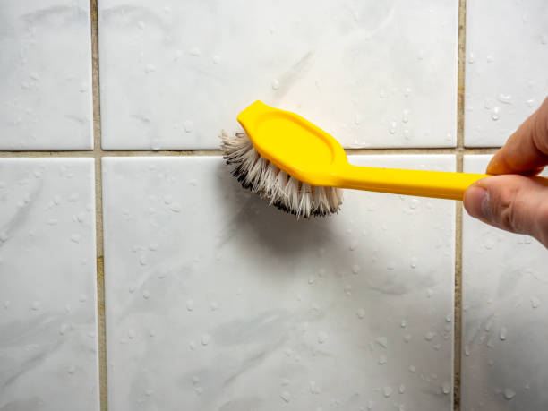 Best Home Mold Removal  in Watergate, FL