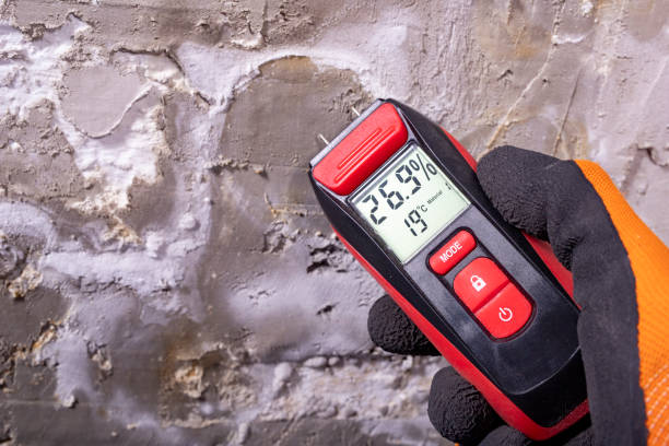 Best Mold Inspection  in Watergate, FL