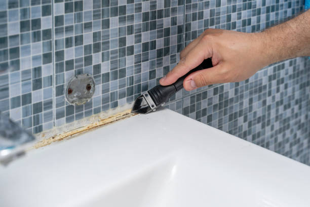 Best Mold Cleaning Services  in Watergate, FL