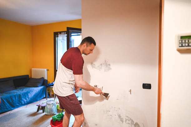 Best Toxic Mold Removal  in Watergate, FL